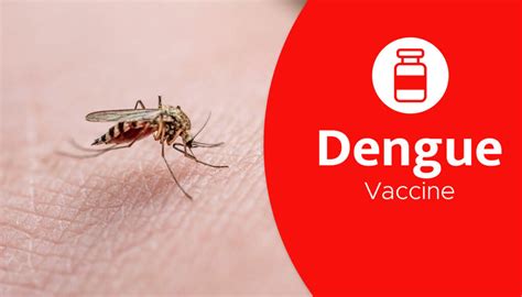 dengue vaccine for travel